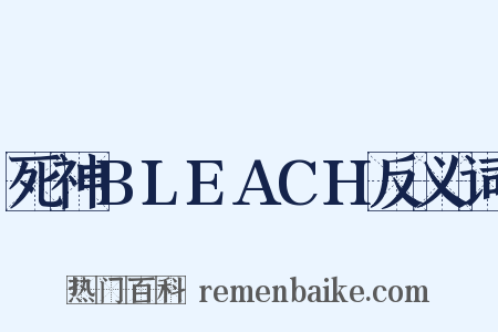 死神BLEACH反义词是什么意思的图片
